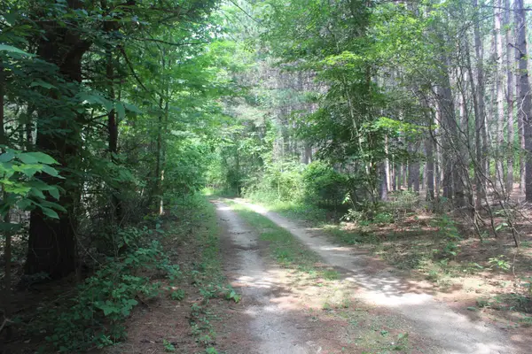 0 Whitefish, Kewadin, MI 49648