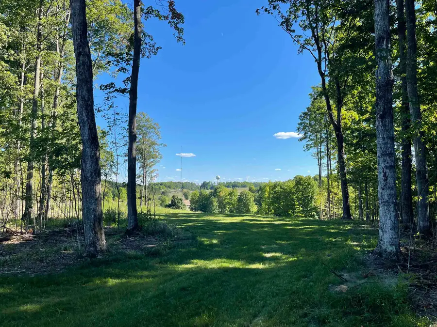 5954 Stagecoach, Kingsley, MI 49649 - #3