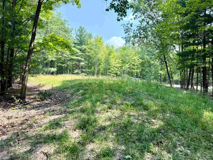 Lot E W Big Sky, Maple City, MI 49664 - #3