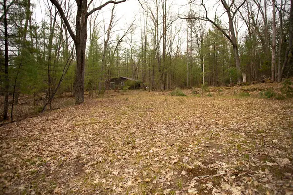 00 NE Bailey, Kalkaska, MI 49646