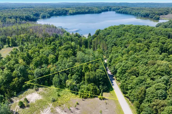 V/L Lake Of The Woods, Bellaire, MI 49615