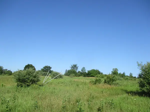 329 N Washington, Prescott, MI 48756