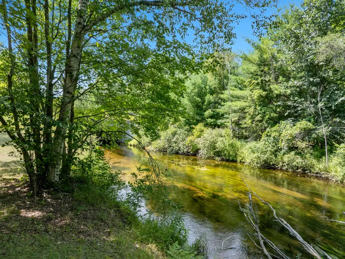 15049 Healy Lake, Bear Lake, MI 49614 - #1