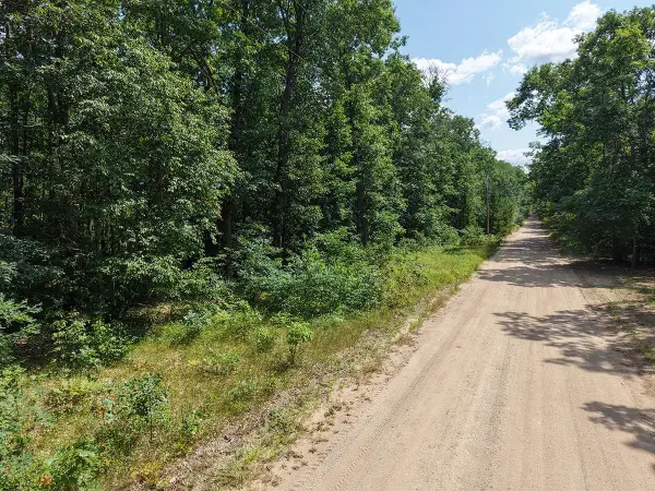 Lot 167 James, Wellston, MI 49689