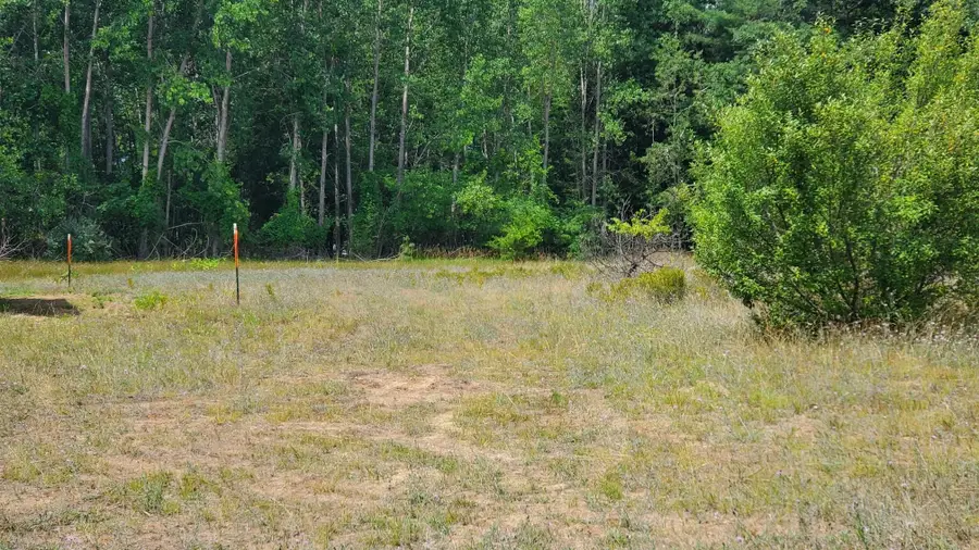 23 Muddy Cove, Lake, MI 48632 - #3