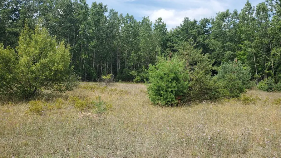 25 Muddy Cove, Lake, MI 48632 - #3