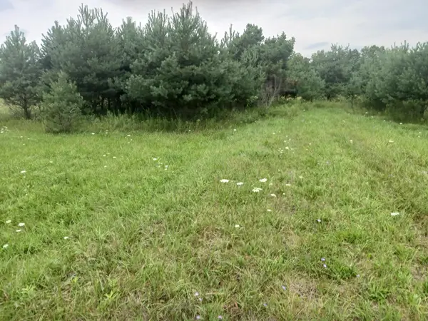 0 M-55, Prescott, MI 48756