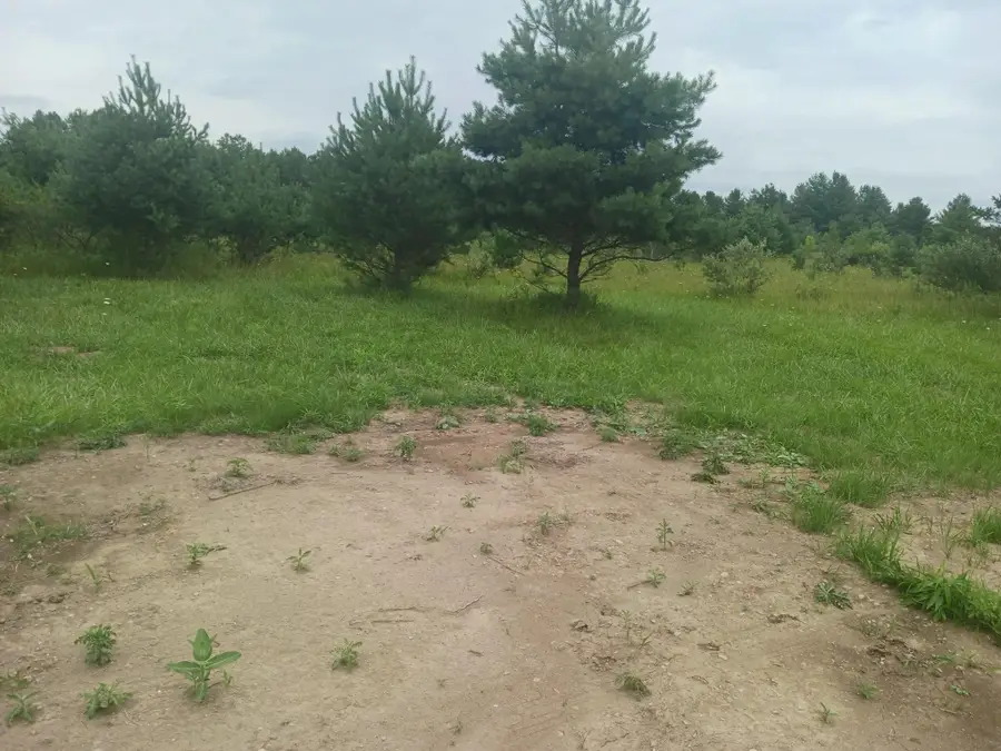 0 M-55, Prescott, MI 48756 - #3