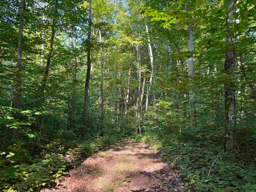 0 Musser, Mancelona, MI 49659 - #3