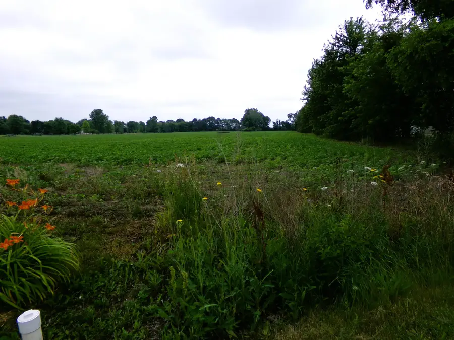 TBD Garfield, Saginaw, MI 48603 - #2