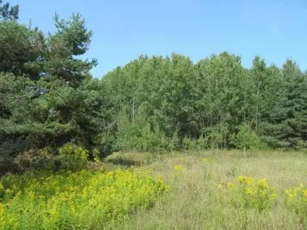 0 M-55, Cadillac, MI 49601