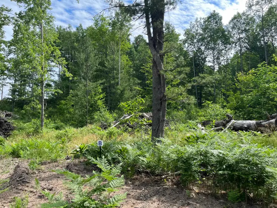 parcel B Hoosier Flats, Traverse City, MI 49685 - #3