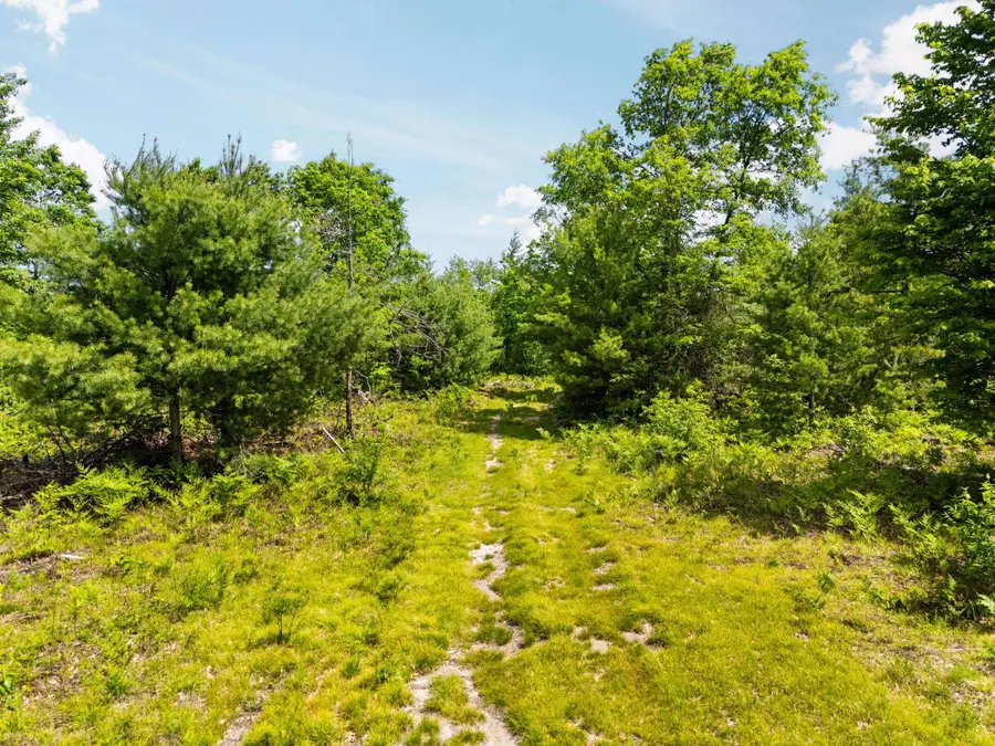 4011 W Forest, Lake City, MI 49651 - #2