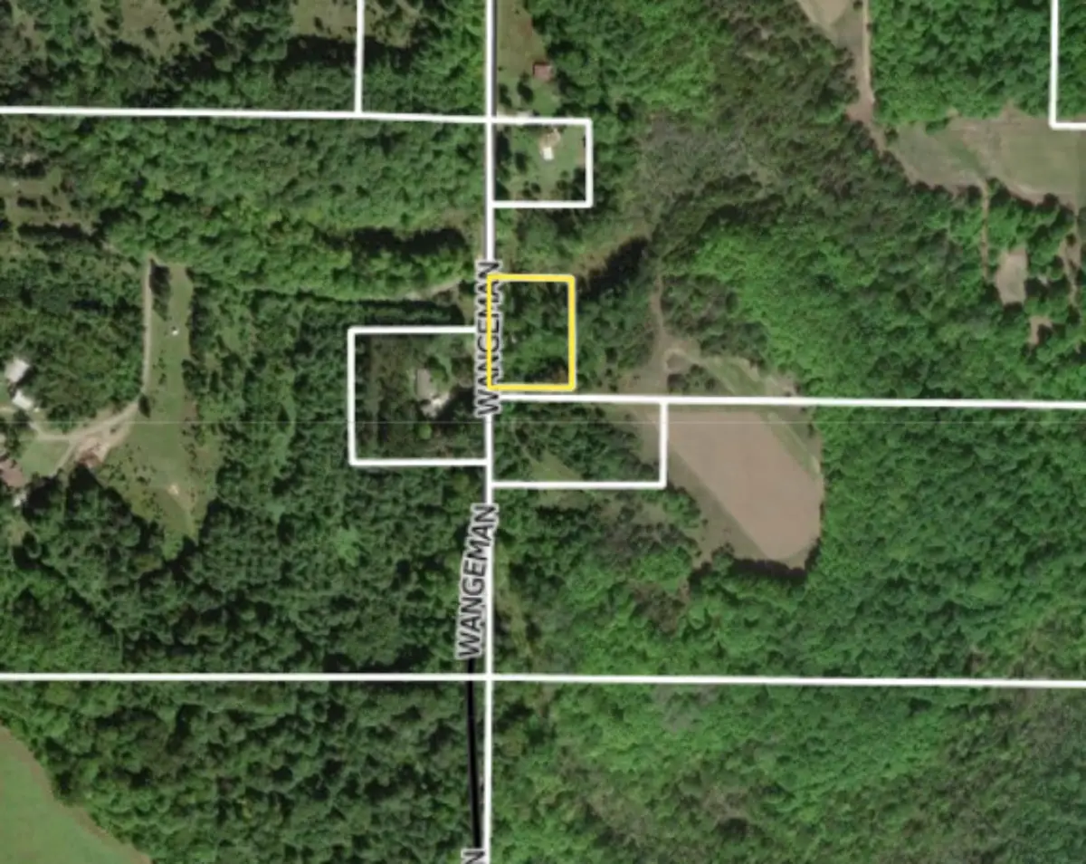 TBD Wangeman, East Jordan, MI 49727 - #1