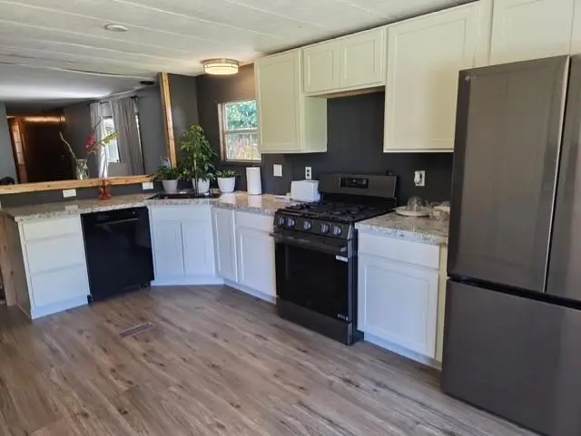 153 N Derenzy, Echo, MI 49622 - #1