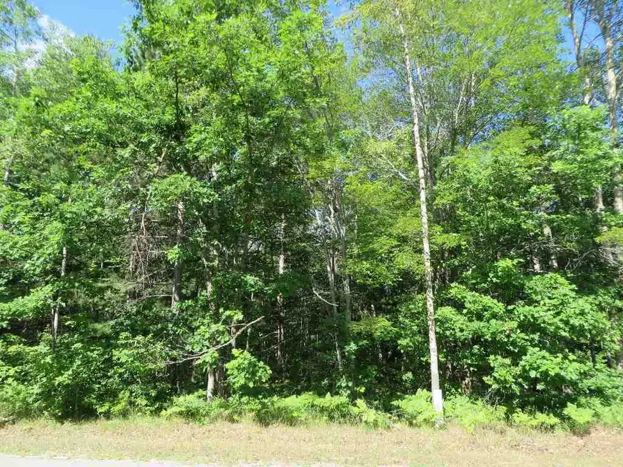2089 E Log Lake, Kalkaska, MI 49646 - #2