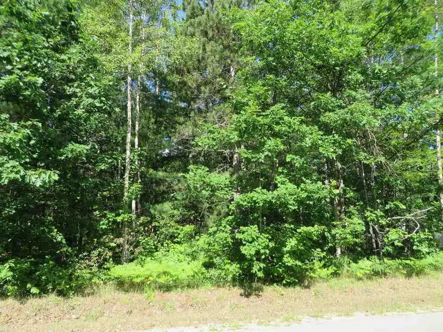 2089 E Log Lake, Kalkaska, MI 49646 - #3