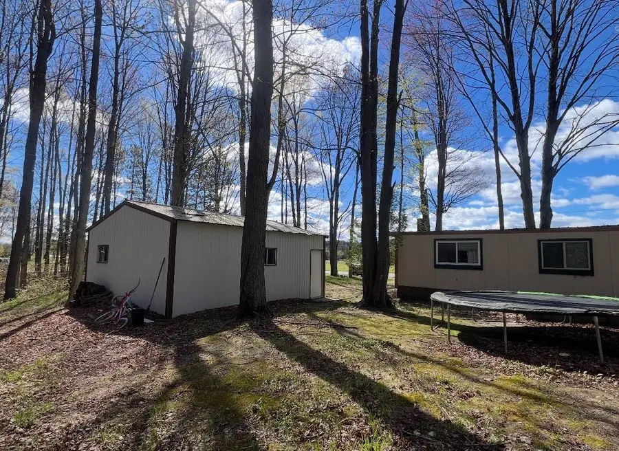 380 Thomas Road Sw, South Boardman, MI 49680 - #3