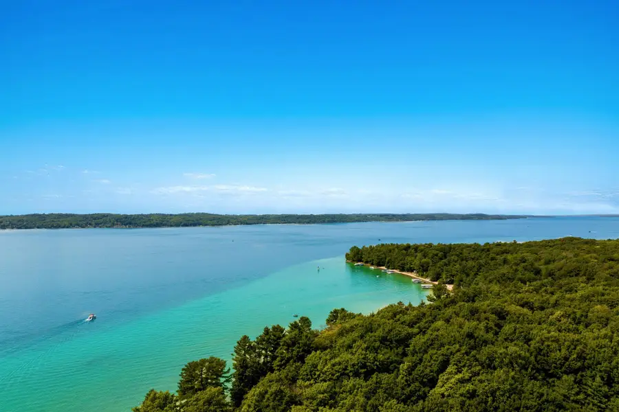 7356 SE Torch Lake, Alden, MI 49612 - #3