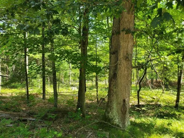 0 Turtle Lake, Prescott, MI 48756 - #1