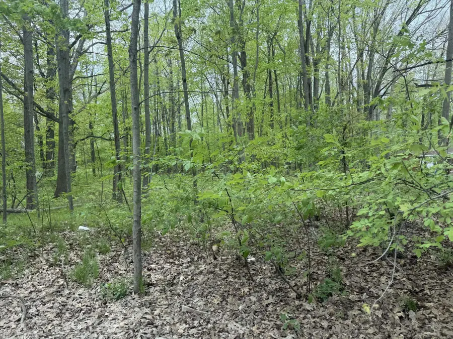 7785 Arrowhead, Weidman, MI 48893 - #2