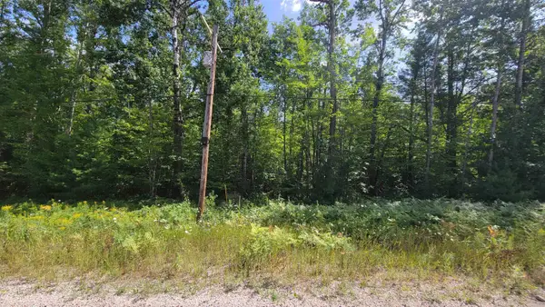 15097 Avenue D, Wolverine, MI 49799