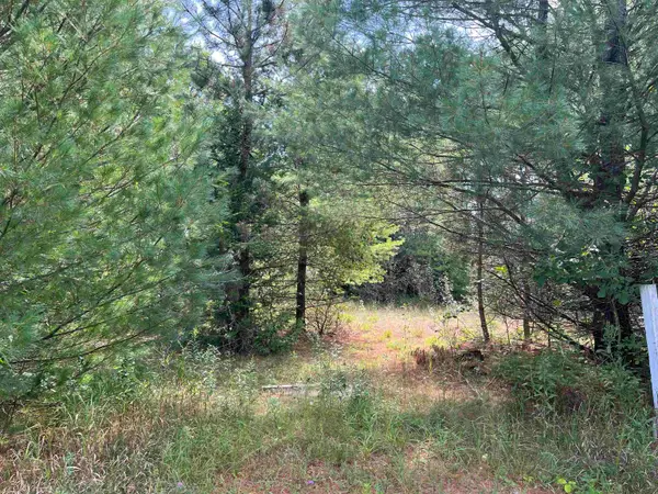 0 Cedar Lake, Greenbush, MI 48738
