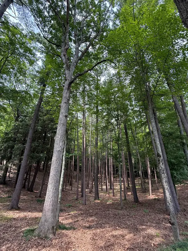 4731 Albert Courtade, Traverse City, MI 49696
