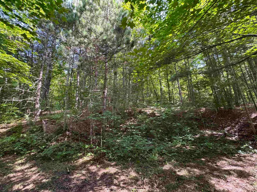 1205 S Garfield, Traverse City, MI 49696 - #3