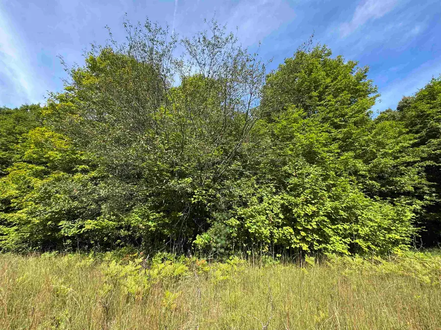 000 S Garfield, Traverse City, MI 49696 - #3