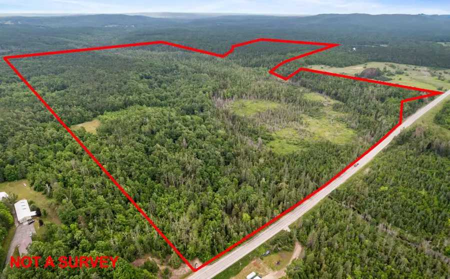 1133 W Thumb Lake, Corwith, MI 49795 - #2