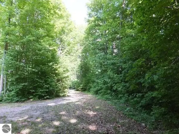 2228 Northwoods, Benzonia, MI 49616