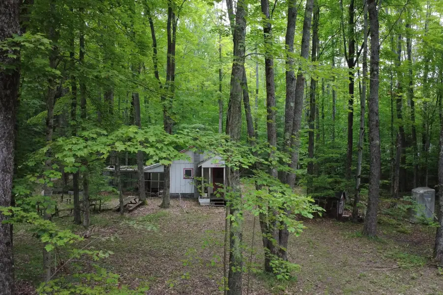 4610 Northwood, Kalkaska, MI 49646 - #2