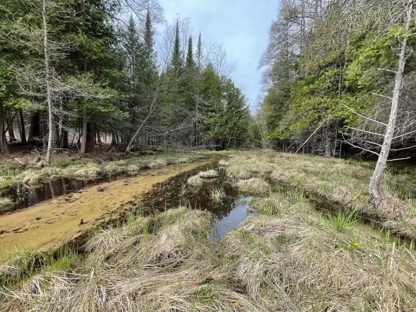 TBD Cody, Kalkaska, MI 49646 - #2