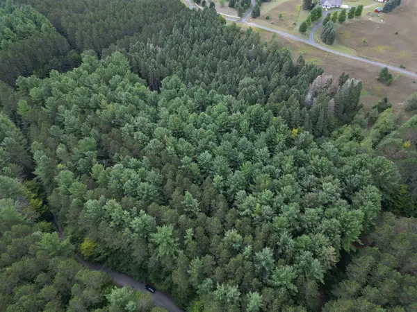 0000 W Timber, Empire, MI 49630