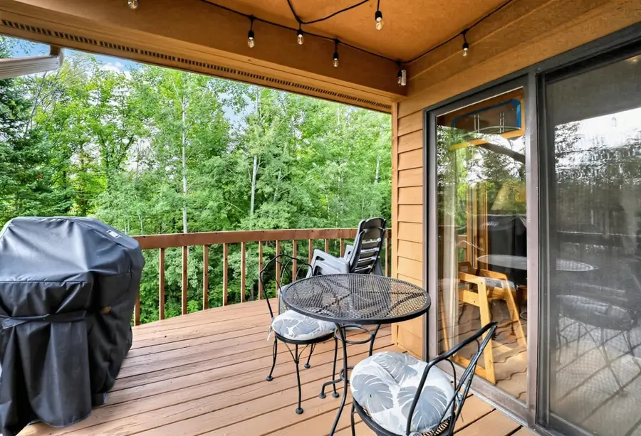 6520 Schuss Mountain, Mancelona, MI 49659 - #2