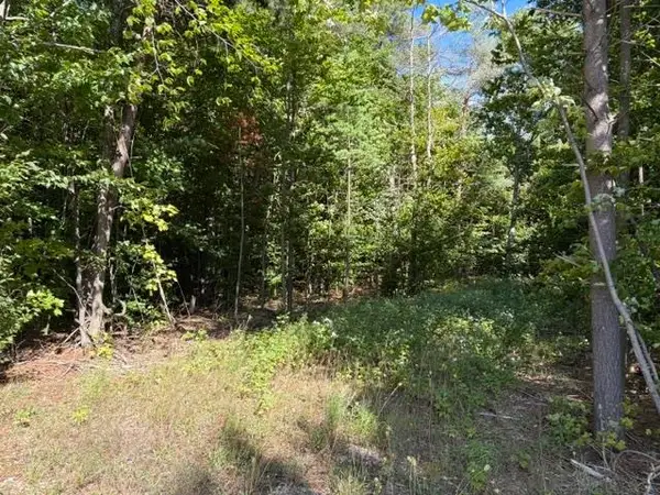 000 Paradise Ridge, Traverse City, MI 49684