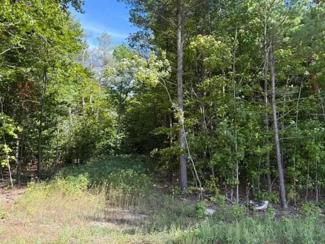 000 Paradise Ridge, Traverse City, MI 49684 - #2
