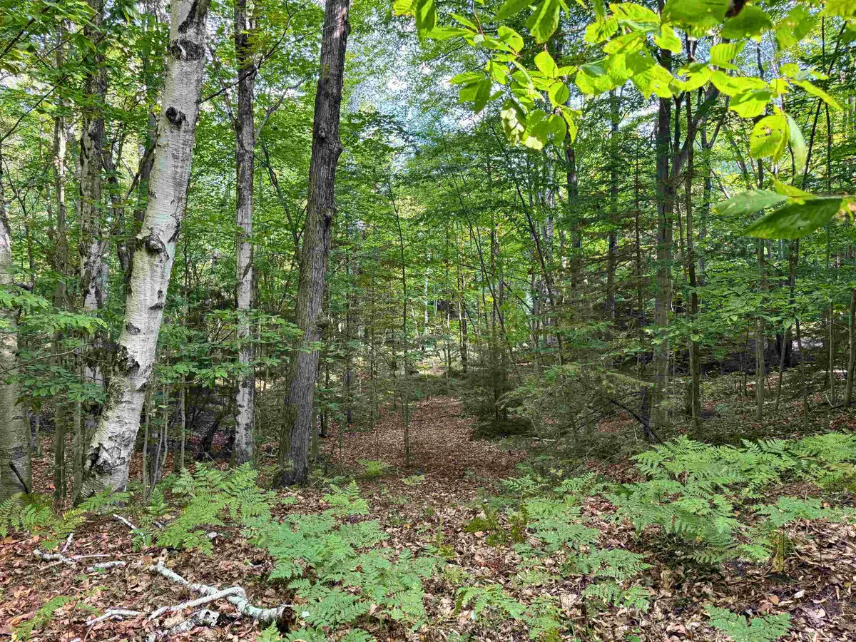 0 Us-31 N, Kewadin, MI 49648 - #1