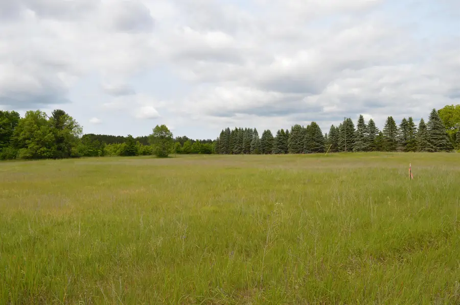 O Summit City, Kingsley, MI 49649 - #3