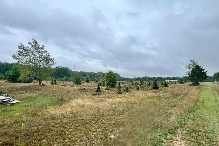 10130 Rock, Lake, MI 48632 - #2