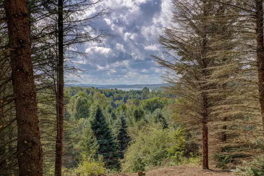 N Eagle, Lake Leelanau, MI 49653 - #2