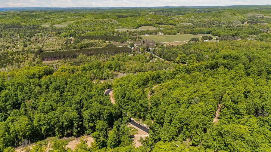 22.55 Acres Retreats, Rapid City, MI 49676 - #3