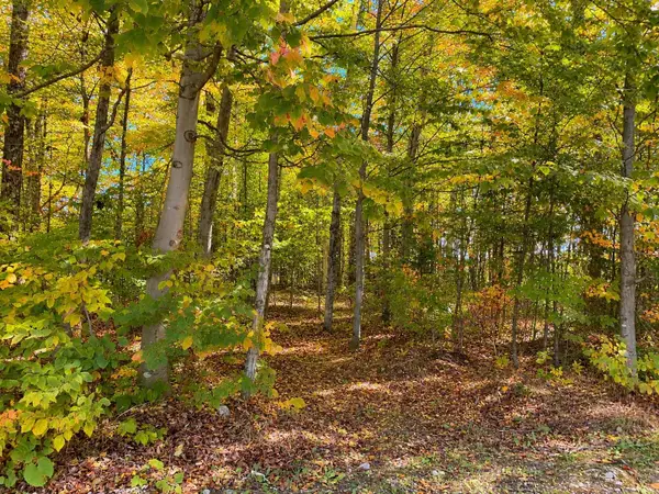 3930 Spruceview, Mackinac Island, MI 49757