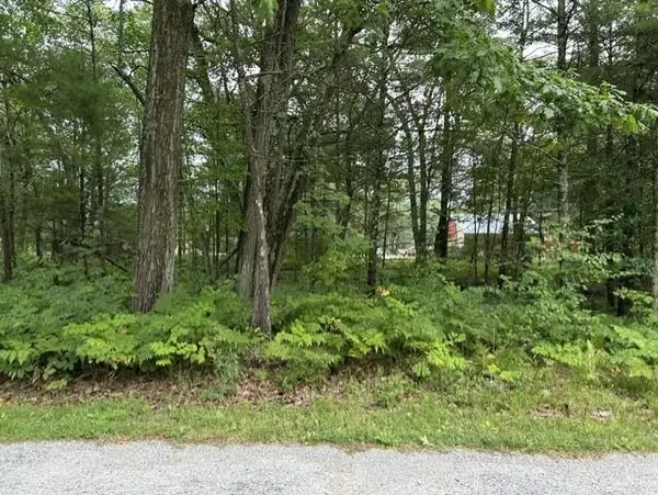 00 Wintergreen, East Tawas, MI 48730