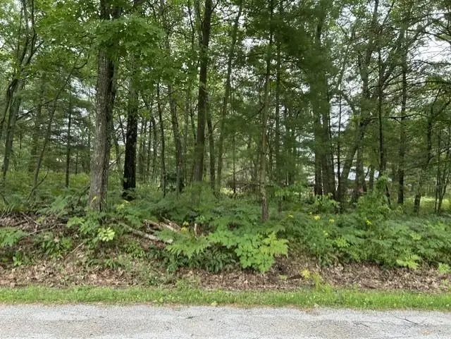 00 Wintergreen, East Tawas, MI 48730 - #2