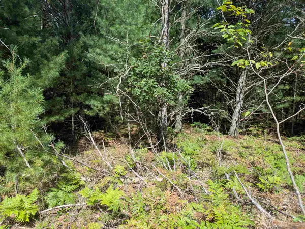 N Forest Lake, Alger, MI 48610