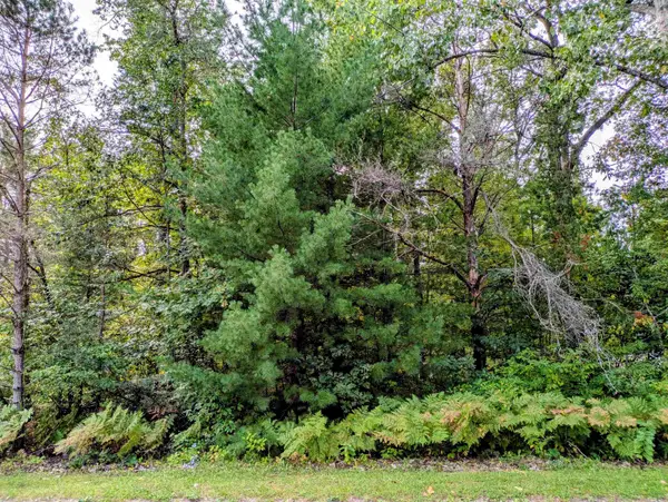 S Forest Lake, Alger, MI 48610