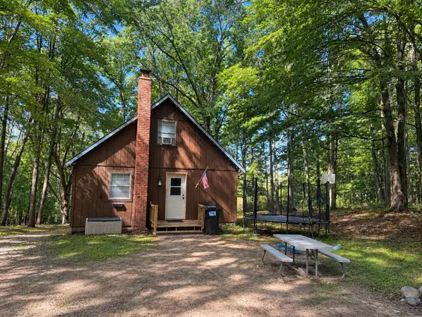 128 W Ridge, LeRoy, MI 49655