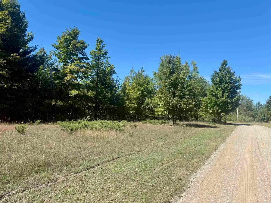 000 W Hlavka, Maple City, MI 49664 - #2